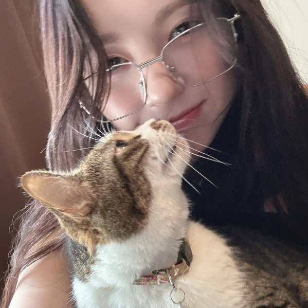 Mashiro 갤러리 이미지