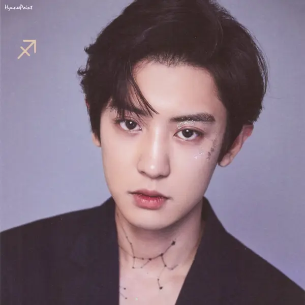 Chanyeol gallery image