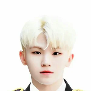 Woozi gallery image