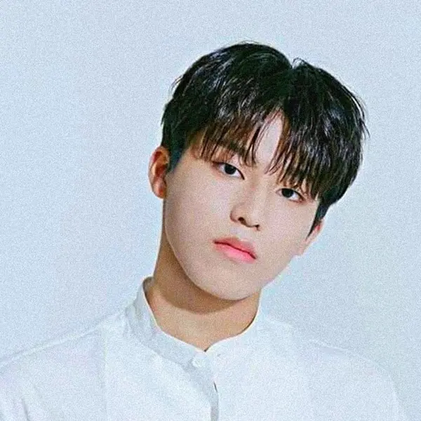 Park Jeongwoo gallery image