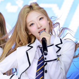 Stella gallery image