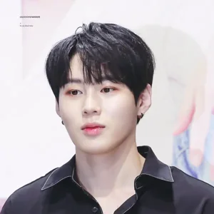 Ha Sungwoon gallery image
