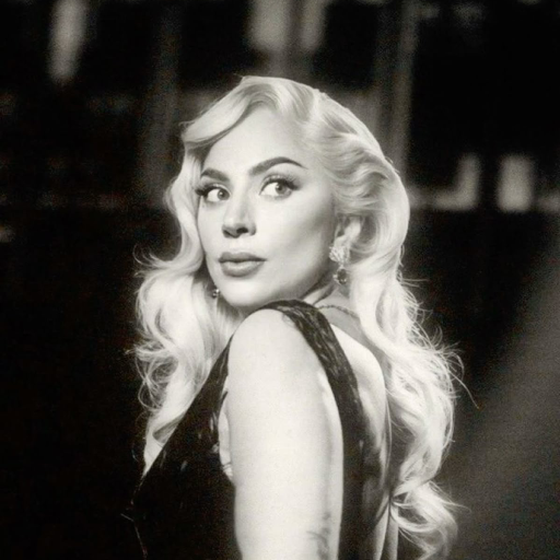 Lady Gaga gallery image