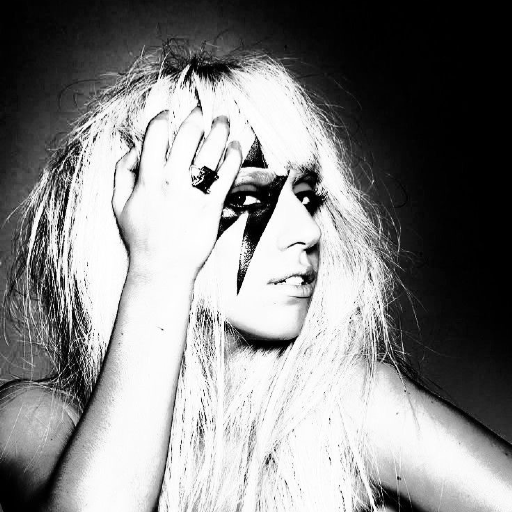 Lady Gaga gallery image