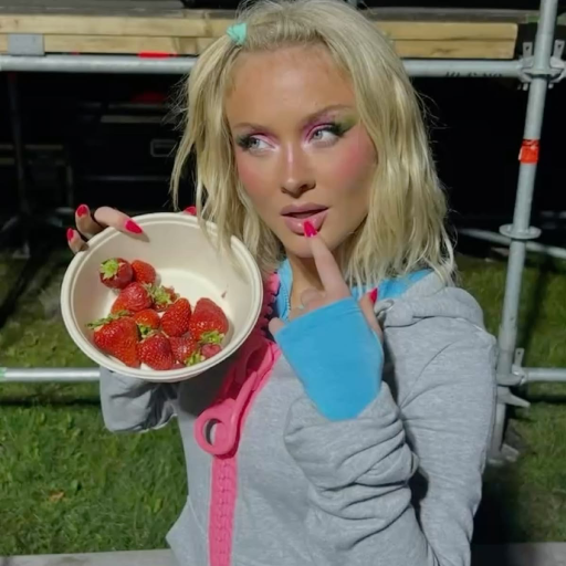 عکس گالری Zara Larsson