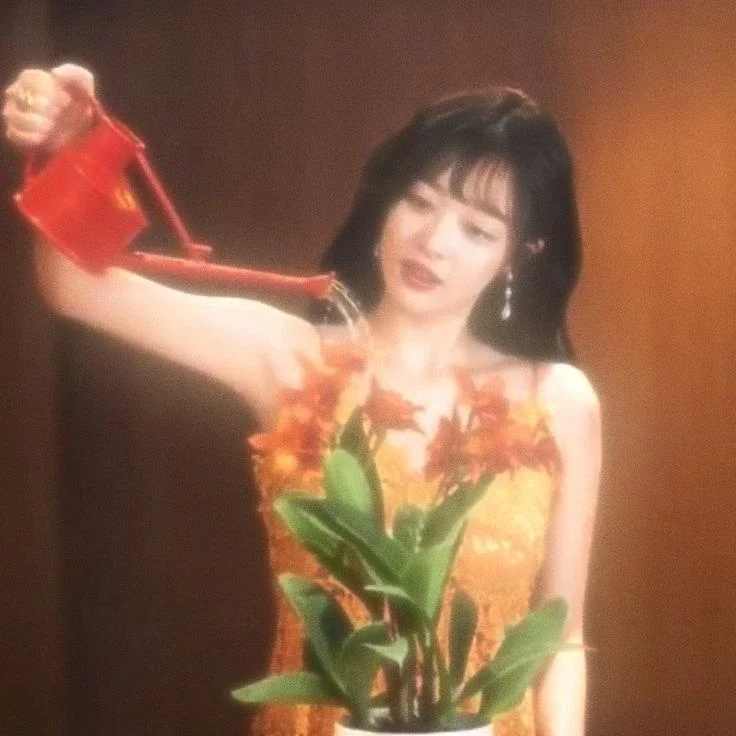 Sulli gallery image