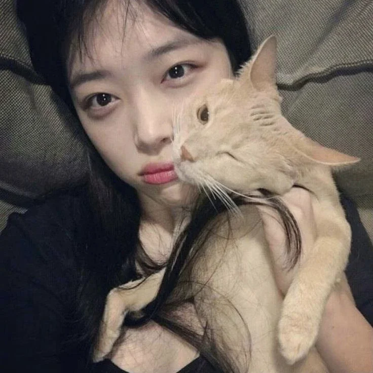 Sulli gallery image