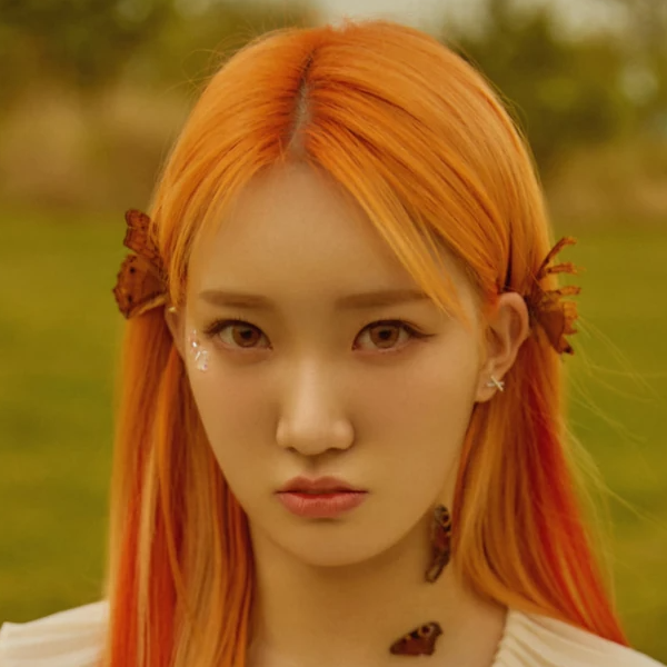 Sua gallery image