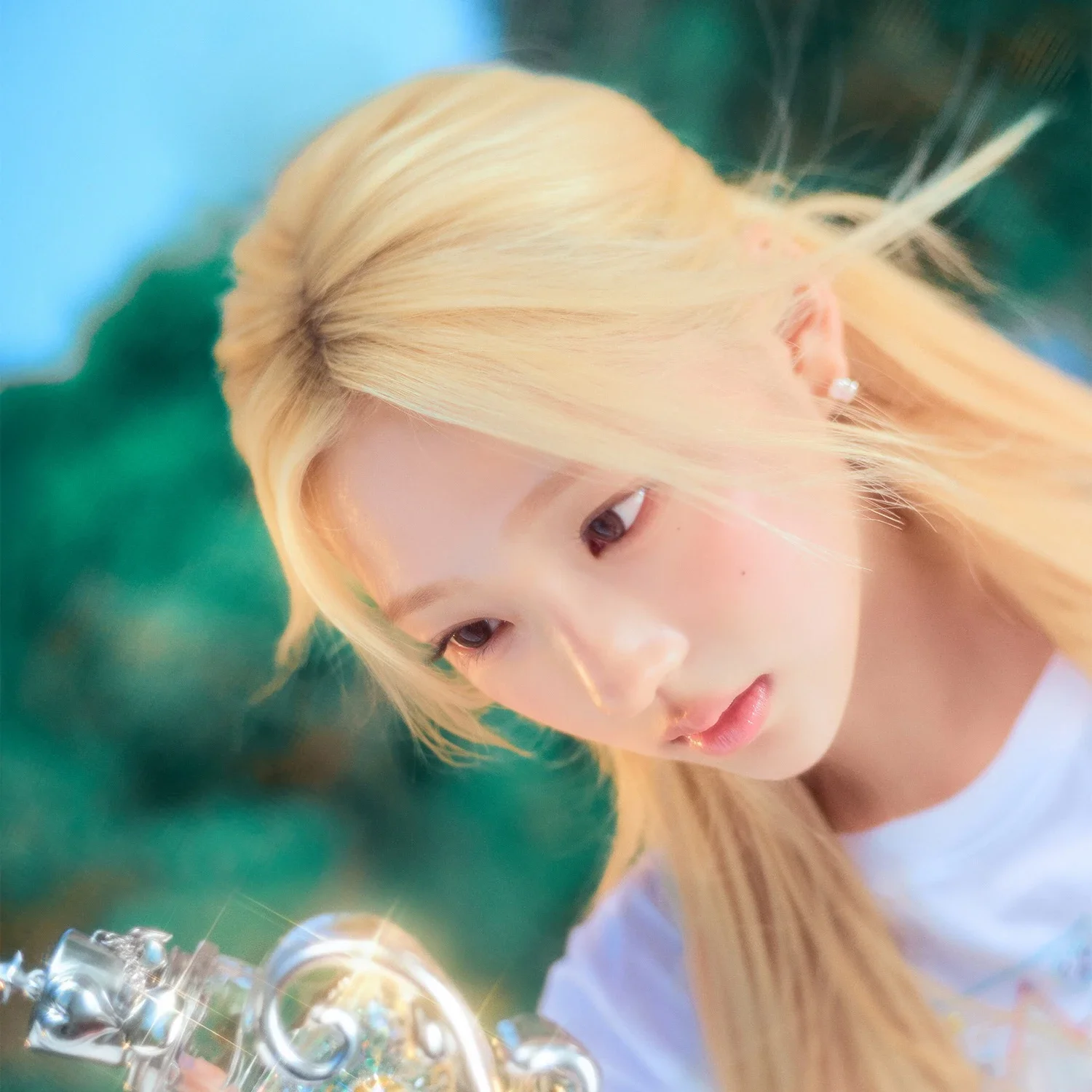 Stella gallery image