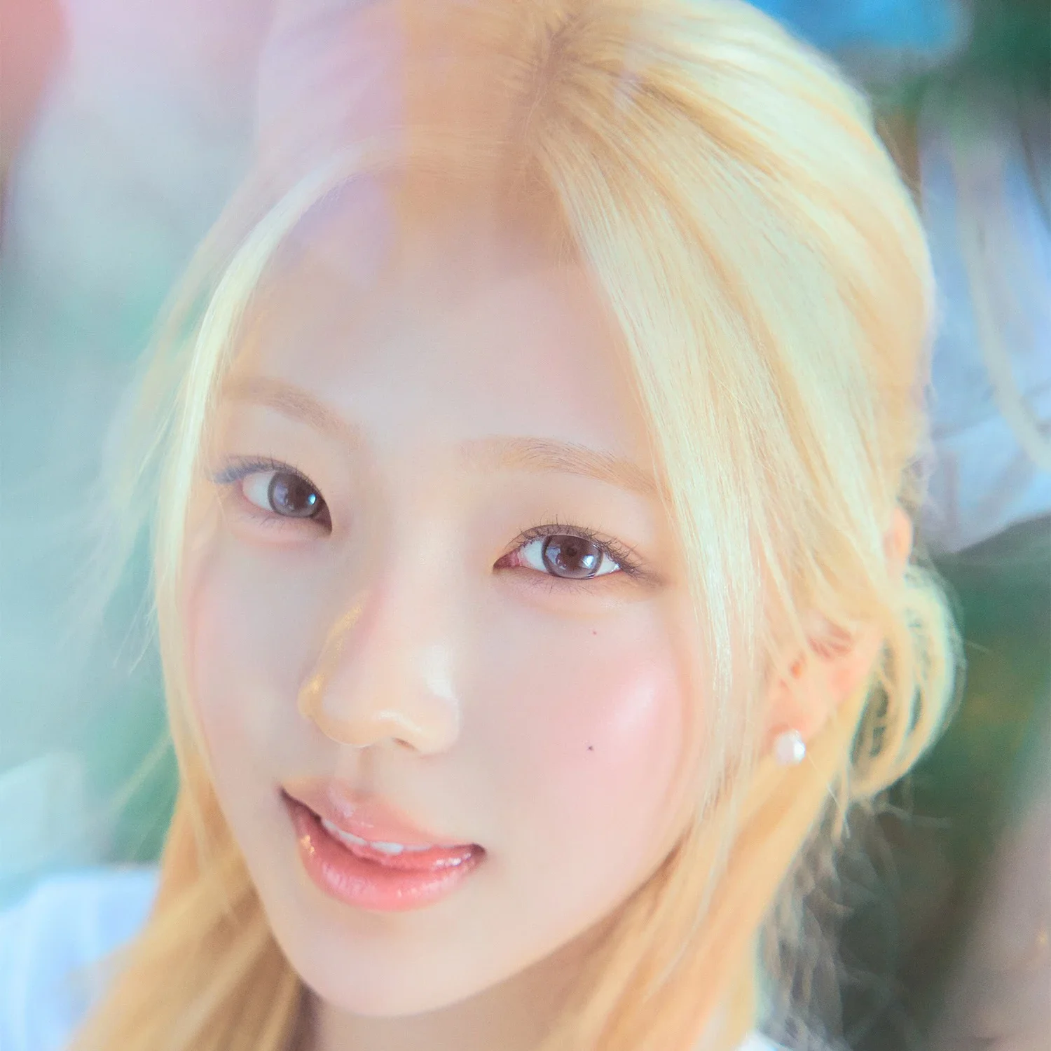 Stella gallery image