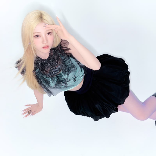 Stella 갤러리 이미지