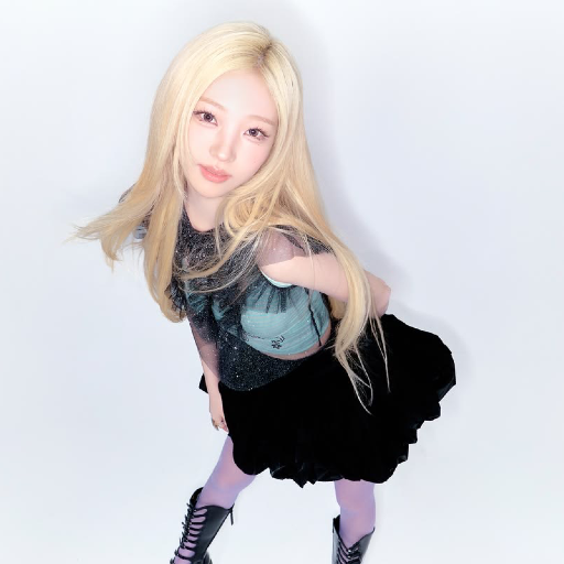 Stella 갤러리 이미지