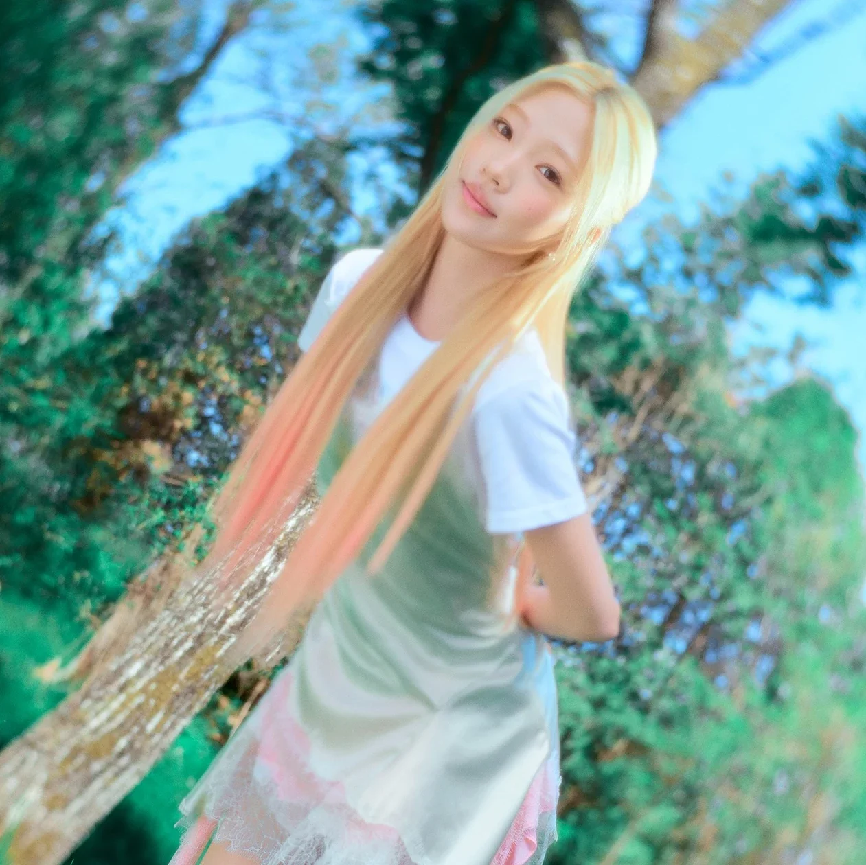 Stella gallery image