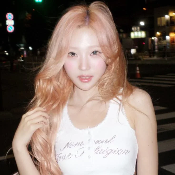 Stella 갤러리 이미지