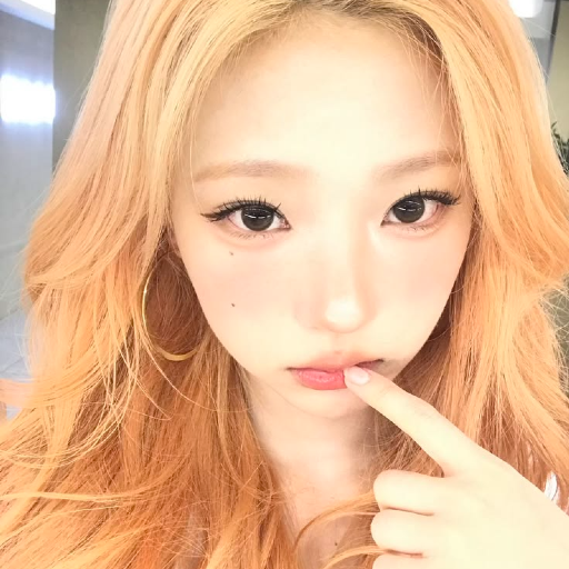 Stella 갤러리 이미지