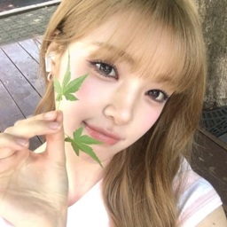 Yuha
