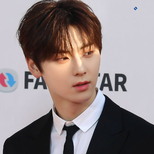 Minhyun gallery image