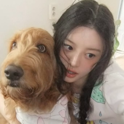Minju 4