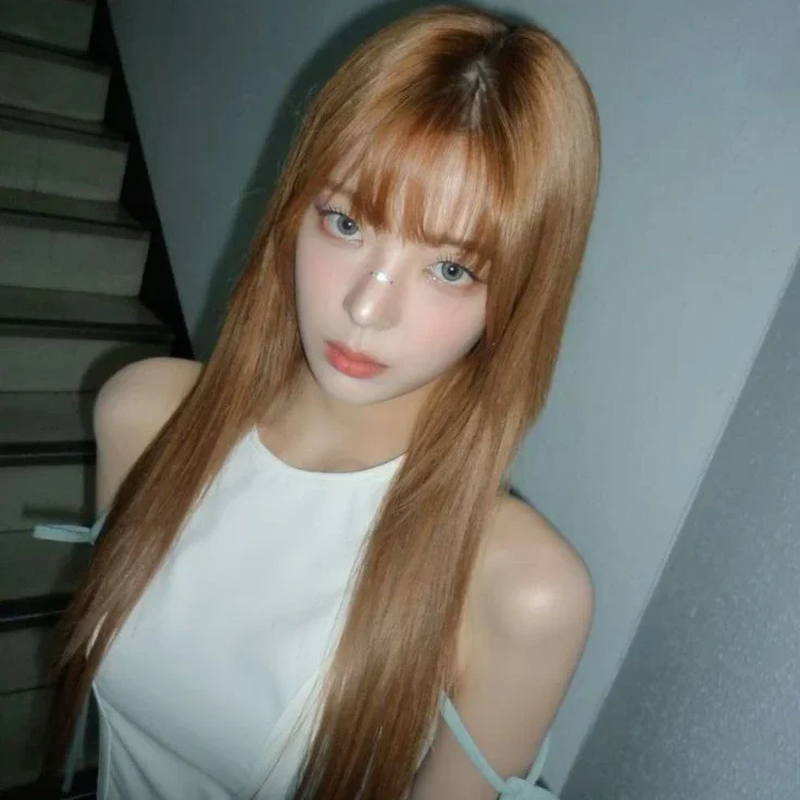 Imej galeri Lia