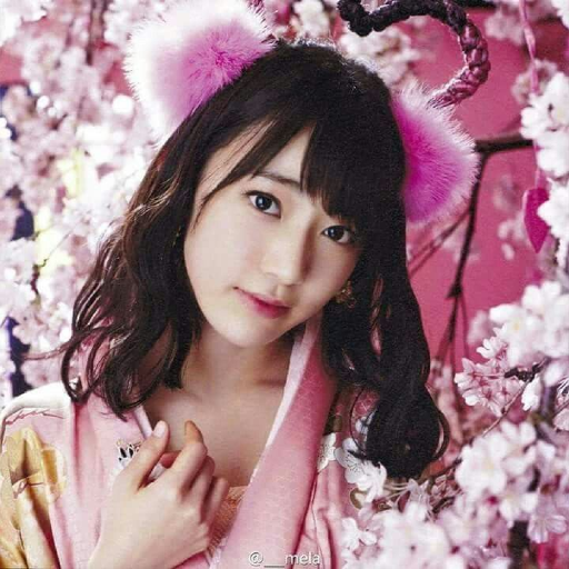 Larawan sa gallery ni Sakura
