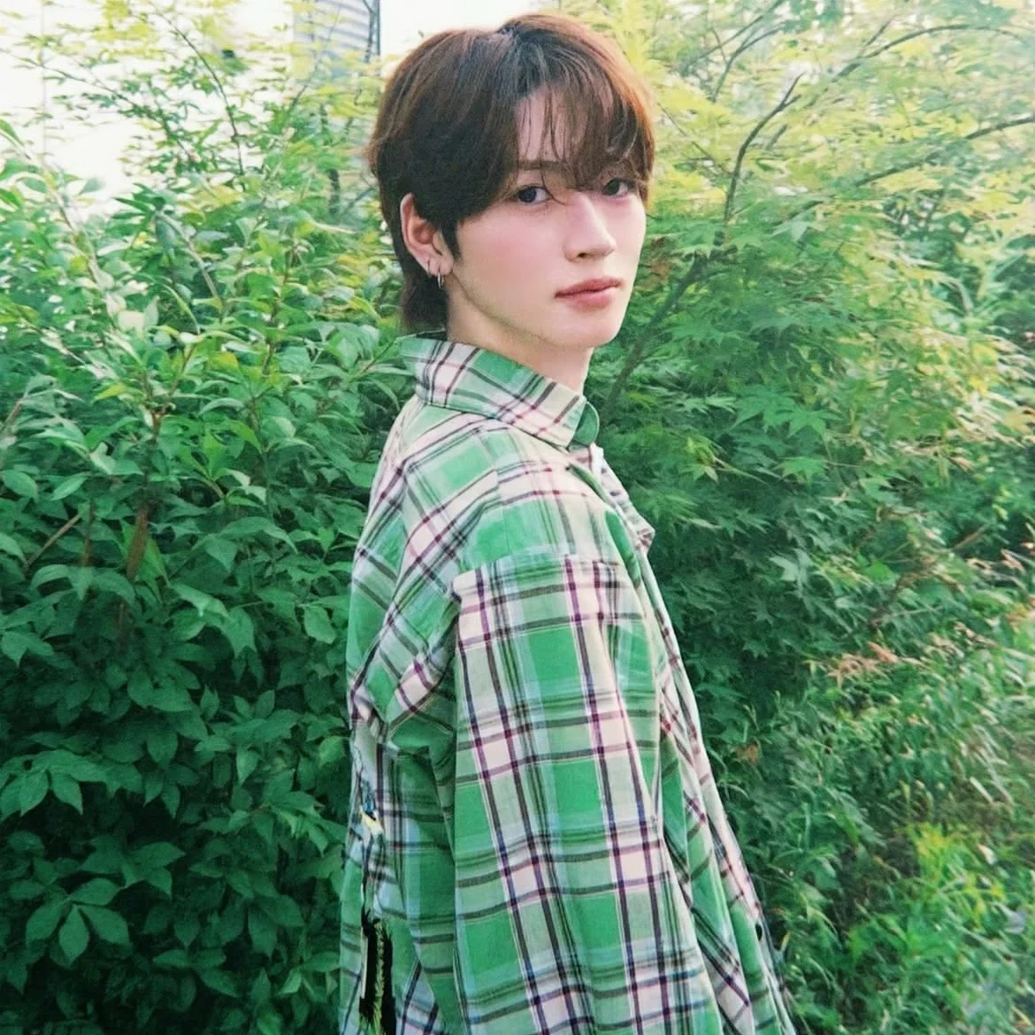 Daiki gallery image