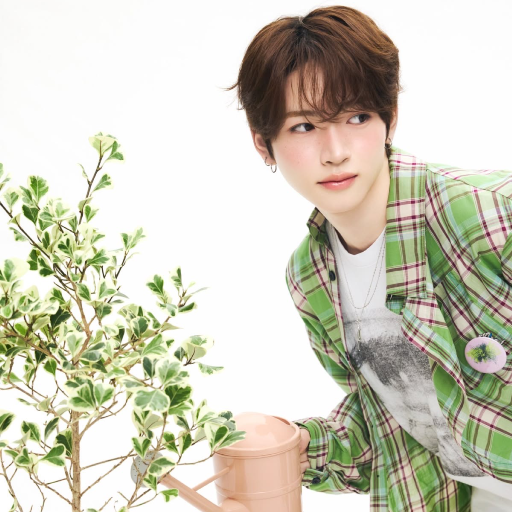 Daiki gallery image