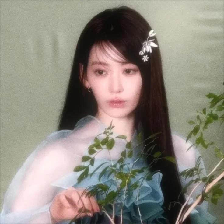 Sakura gallery image