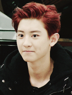 Chanyeol gif