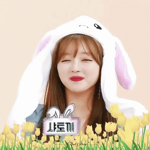 YooA gif