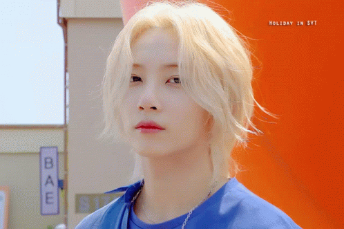 Jeonghan gif
