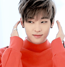Wonwoo gif