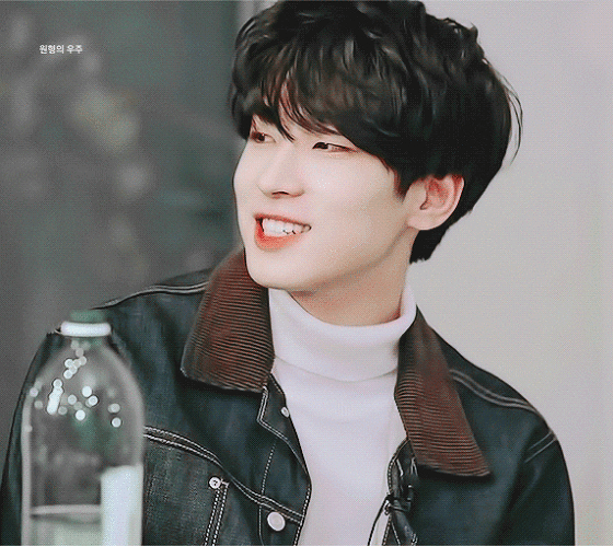 Wonwoo gif