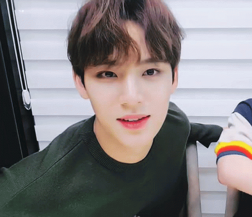 Mingyu gif