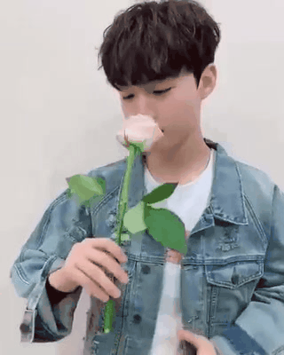 Kim Doyoung gif