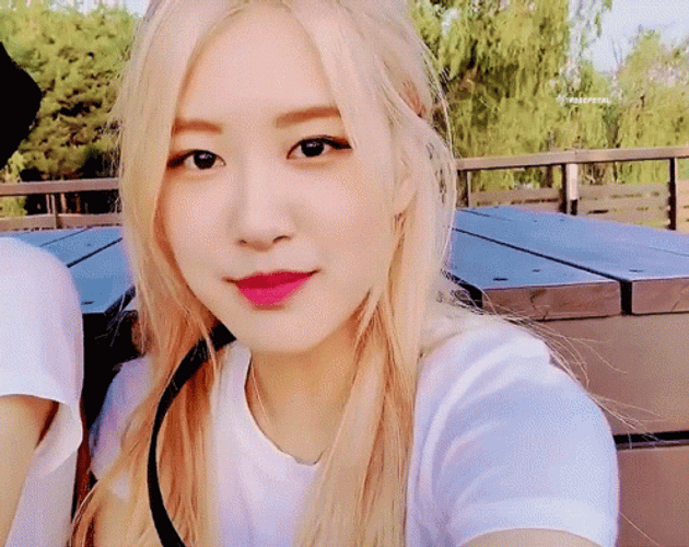 Rosé gif