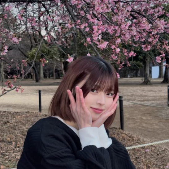 Imej galeri Sakura