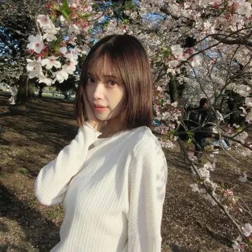 Sakura 2