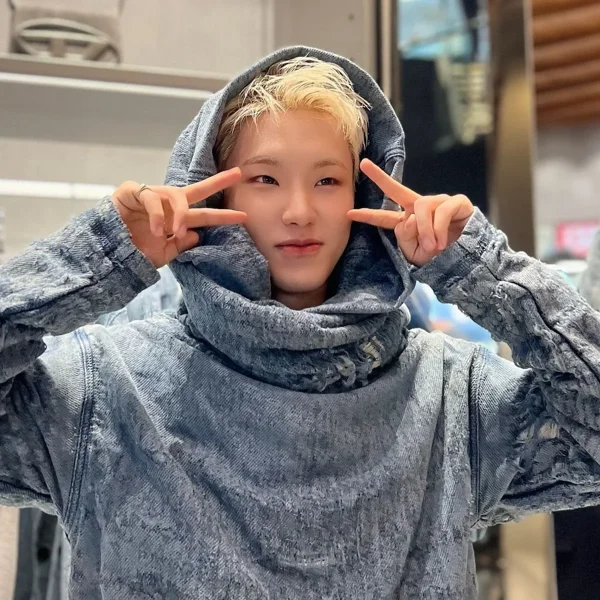 Hoshi 4