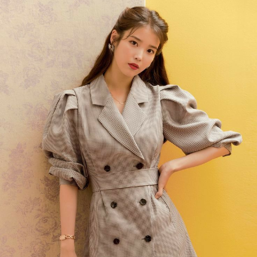 IU gallery image