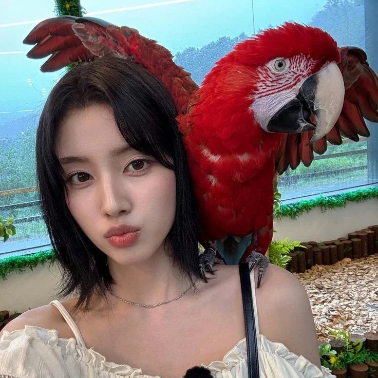 Yoon gallery image