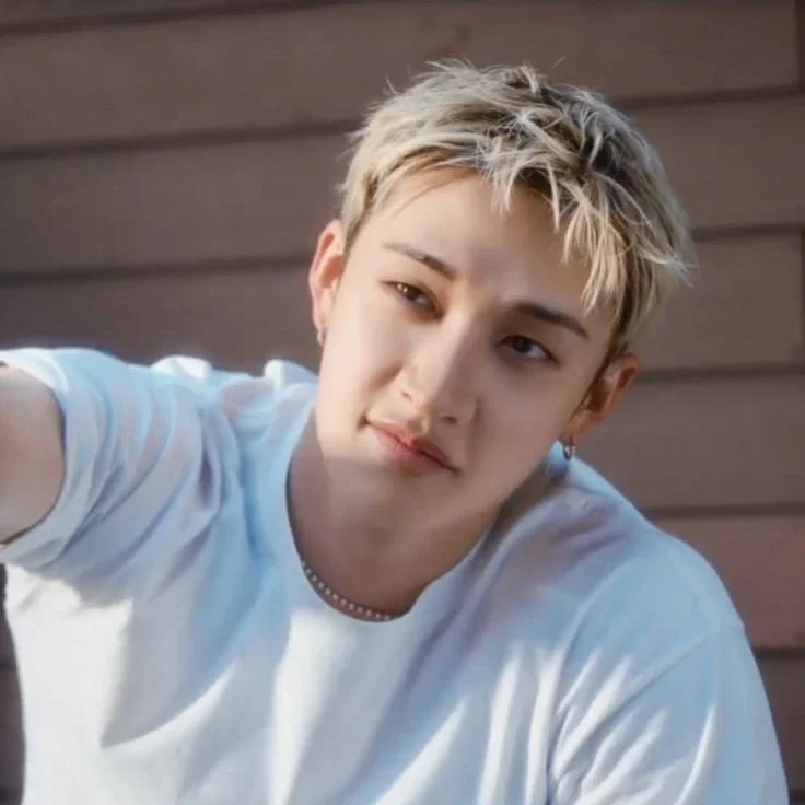 Bang Chan gallery image