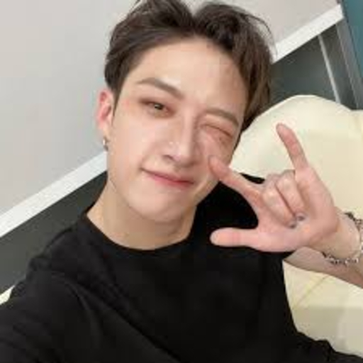 Imagen de la galería de Bang Chan