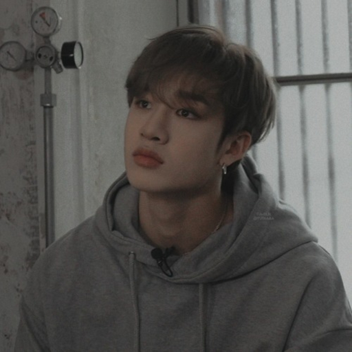 Imagen de la galería de Bang Chan