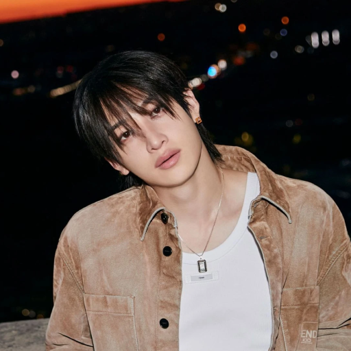 Bang Chan gallery image