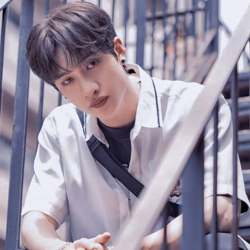Bang Chan gallery image