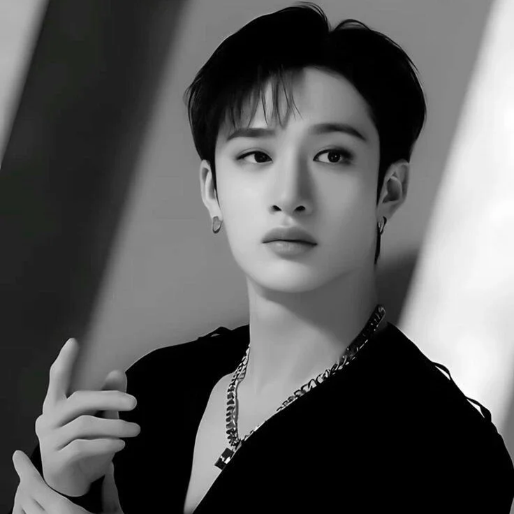 Bang Chan gallery image