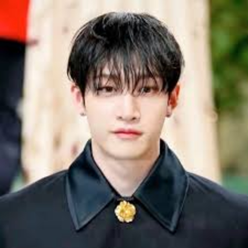 Imagen de la galería de Bang Chan
