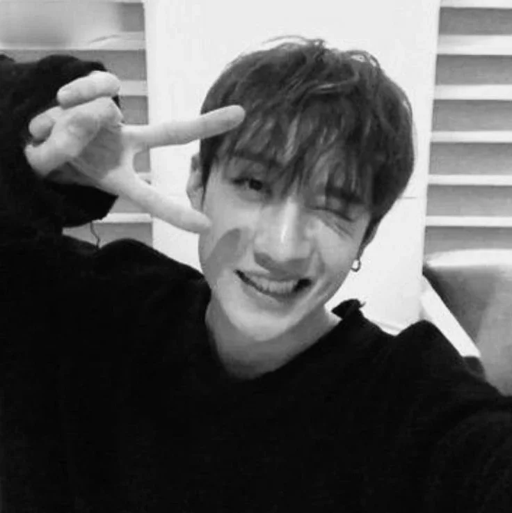 Bang Chan gallery image