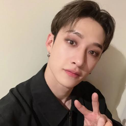 Bang Chan gallery image