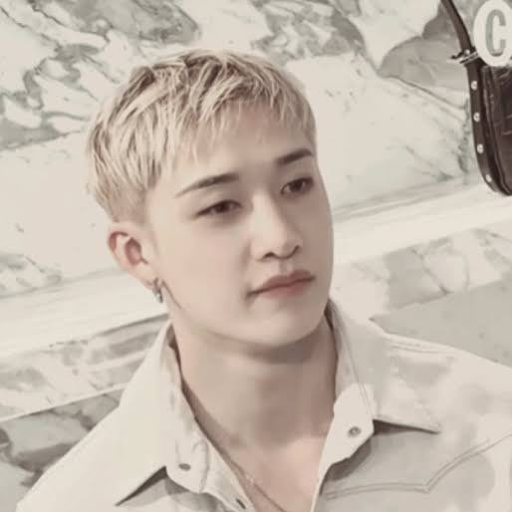 Bang Chan gallery image